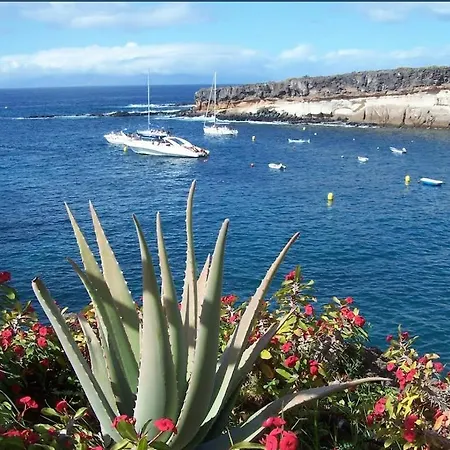 Paraiso Del Sur * Costa Adeje (Tenerife)